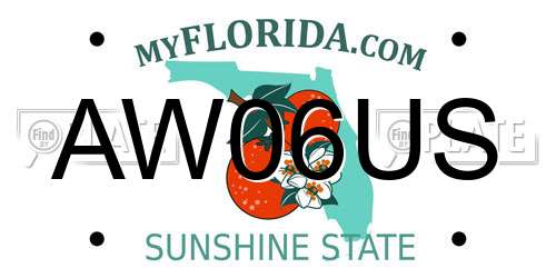 AW06US Florida License Plate