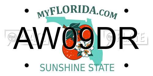 AW09DR Florida License Plate