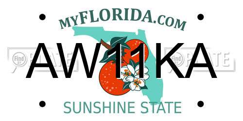 AW11KA Florida License Plate