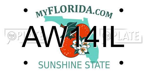 AW14IL Florida License Plate
