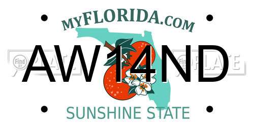 AW14ND Florida License Plate