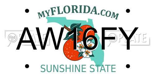 AW16FY Florida License Plate