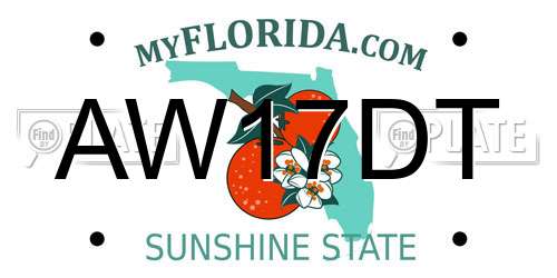 AW17DT Florida License Plate