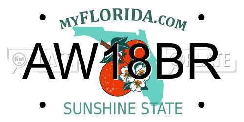 AW18BR Florida License Plate