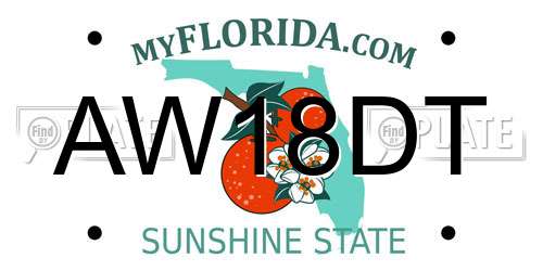 AW18DT Florida License Plate