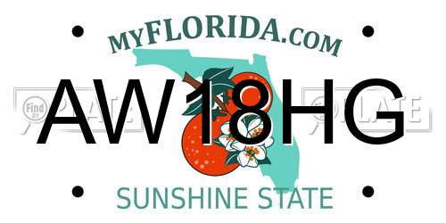 AW18HG Florida License Plate