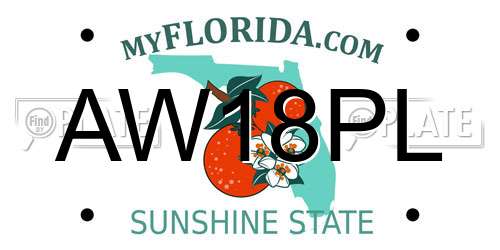 AW18PL Florida License Plate