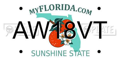 AW18VT Florida License Plate