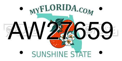 AW27659 Florida License Plate