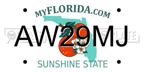 AW29MJ Florida License Plate