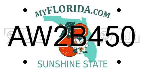 AW2B450 Florida License Plate