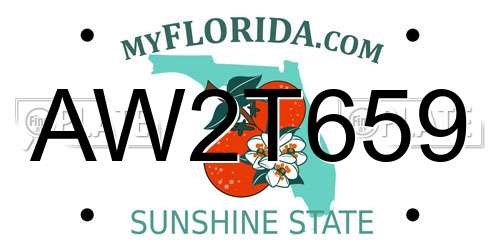 AW2T659 Florida License Plate