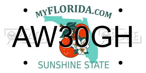AW30GH Florida License Plate