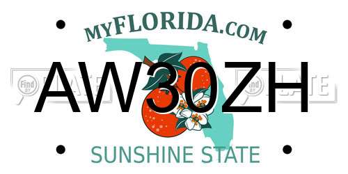 AW30ZH Florida License Plate