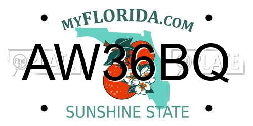 AW36BQ Florida License Plate