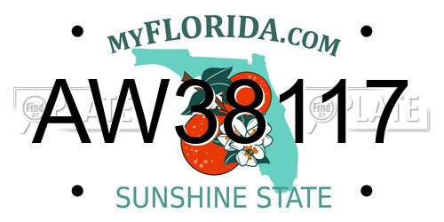 AW38117 Florida License Plate
