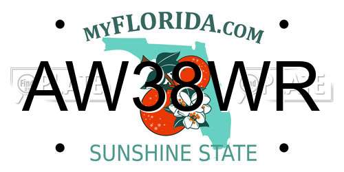 AW38WR Florida License Plate