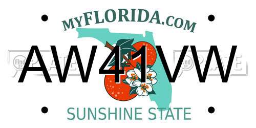 AW41VW Florida License Plate