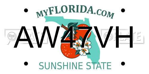AW47VH Florida License Plate