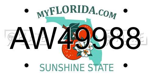 AW49988 Florida License Plate