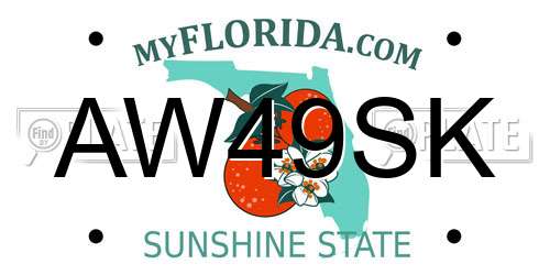 AW49SK Florida License Plate