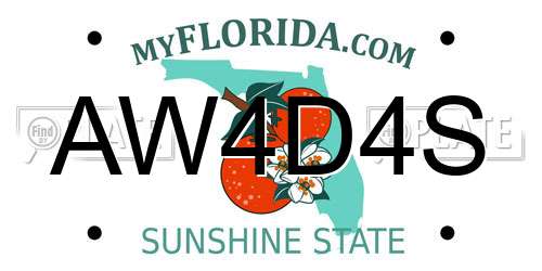AW4D4S Florida License Plate