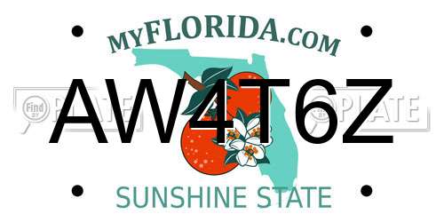 AW4T6Z Florida License Plate