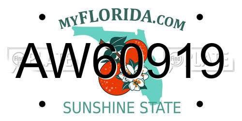 AW60919 Florida License Plate