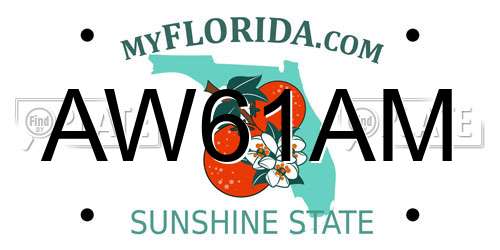 AW61AM Florida License Plate