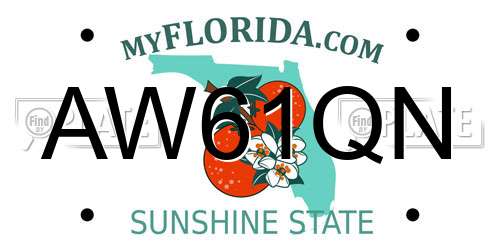 AW61QN Florida License Plate