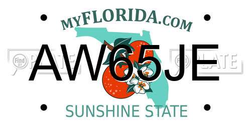 AW65JE Florida License Plate