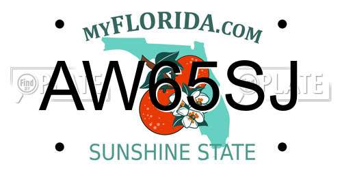 AW65SJ Florida License Plate