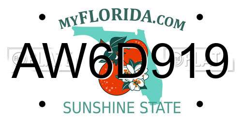 AW6D919 Florida License Plate