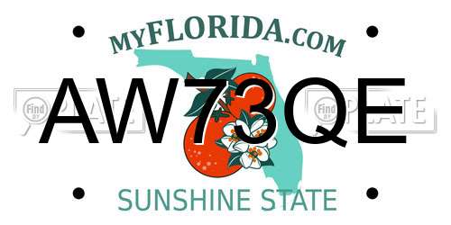 AW73QE Florida License Plate