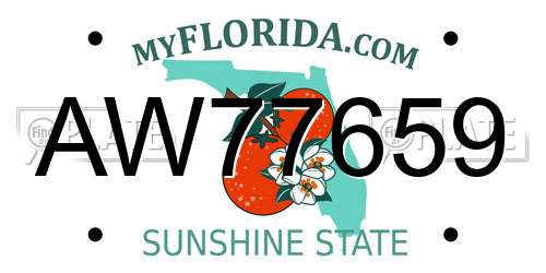 AW77659 Florida License Plate