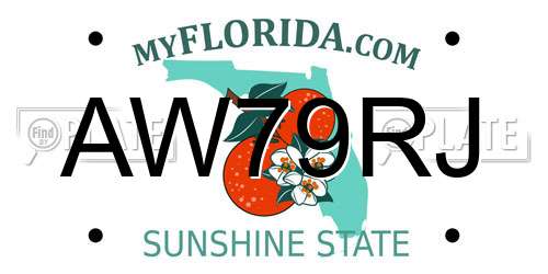 AW79RJ Florida License Plate