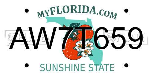 AW7T659 Florida License Plate