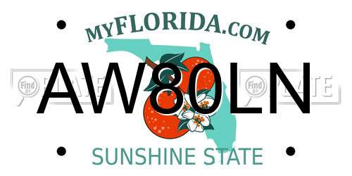 AW80LN Florida License Plate