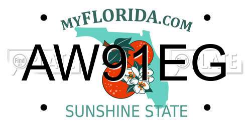 AW91EG Florida License Plate