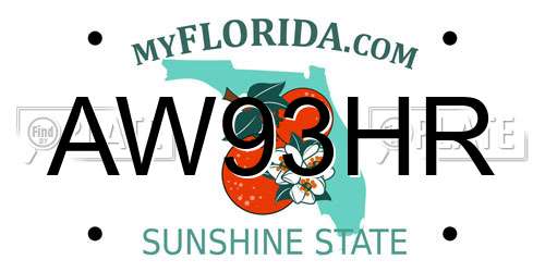 AW93HR Florida License Plate