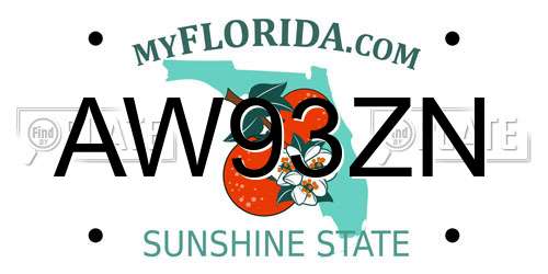 AW93ZN Florida License Plate
