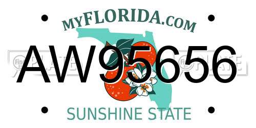 AW95656 Florida License Plate