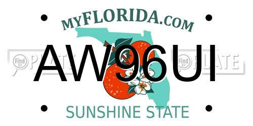 AW96UI Florida License Plate