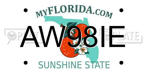 AW98IE Florida License Plate
