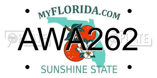 AWA262 Florida License Plate