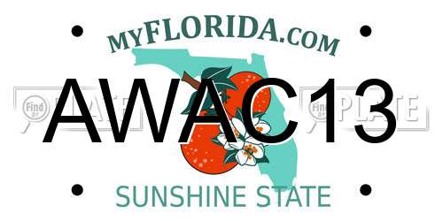 AWAC13 Florida License Plate