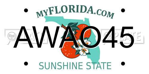 AWAO45 Florida License Plate