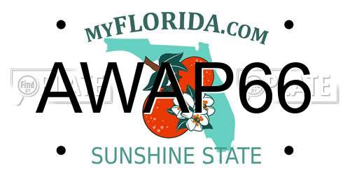 AWAP66 Florida License Plate