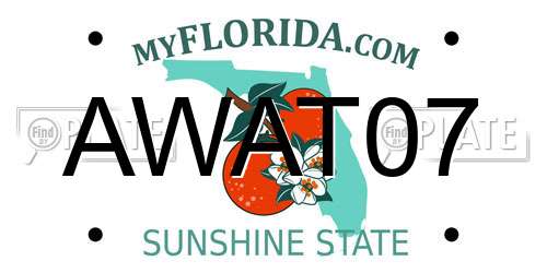 AWAT07 Florida License Plate