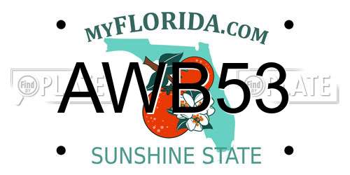 AWB53 Florida License Plate